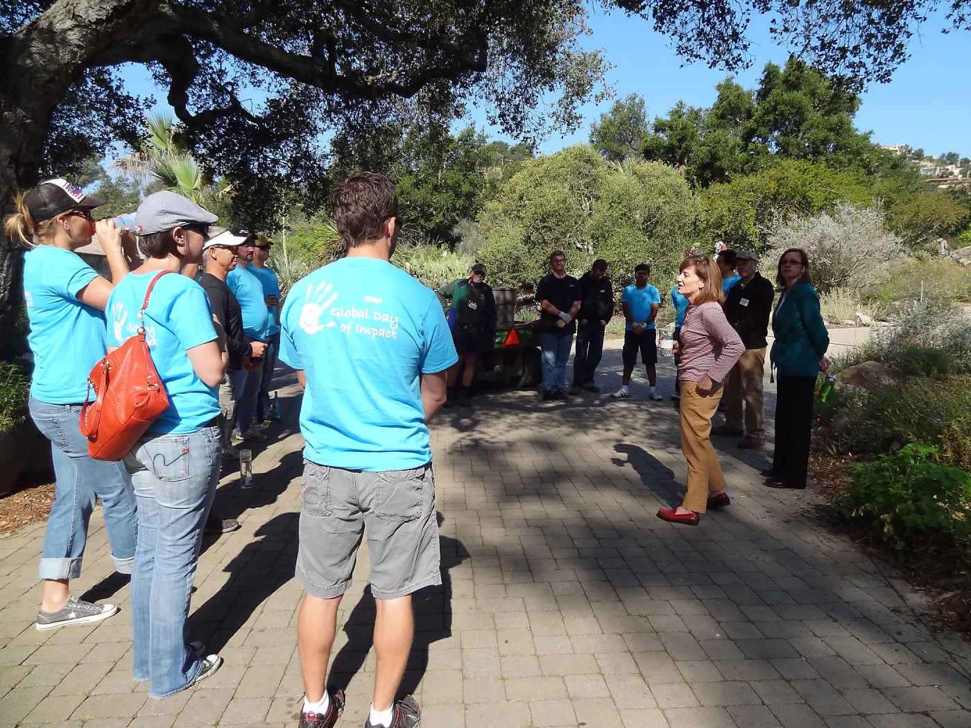 Citrix volunteers, SBBG staff, entrance oak, May 2013