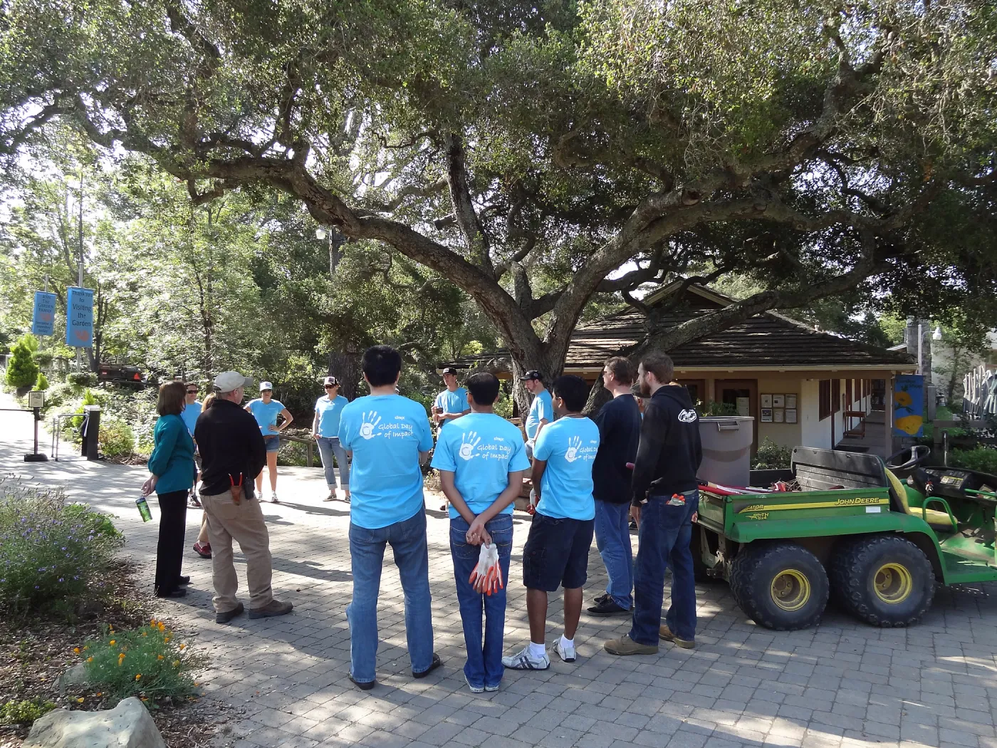 Citrix volunteers, SBBG staff, entrance oak, May 2013