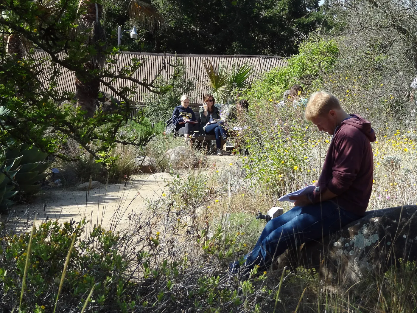 class, student group, students in the Garden, Desert Section