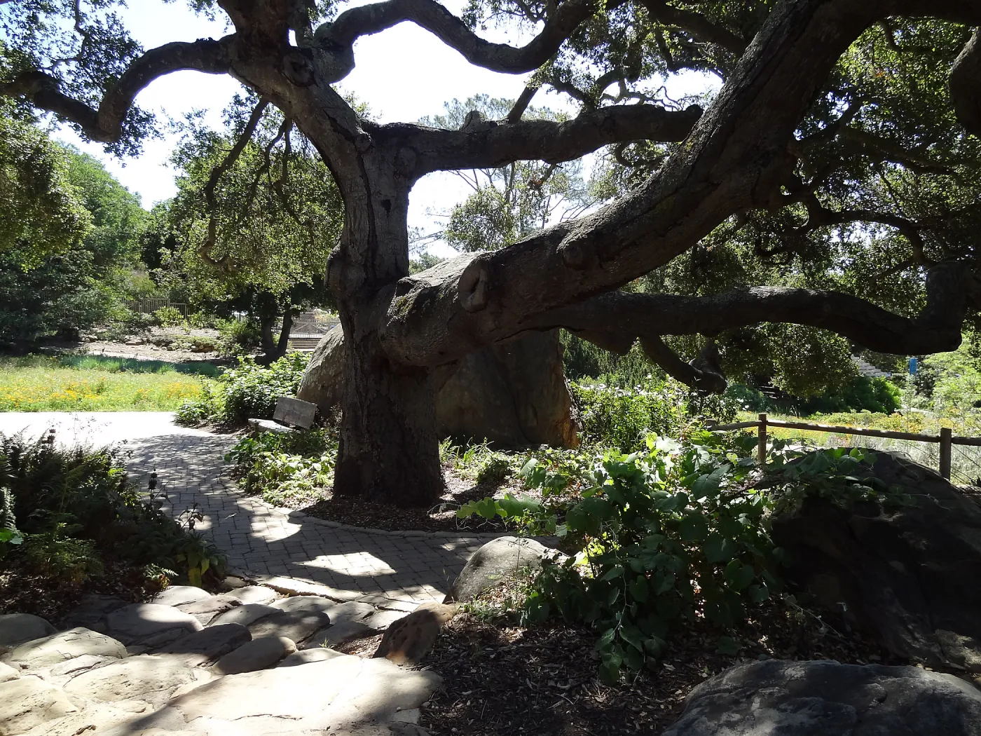 Under the Meadow Oaks, Blaksley Boulder