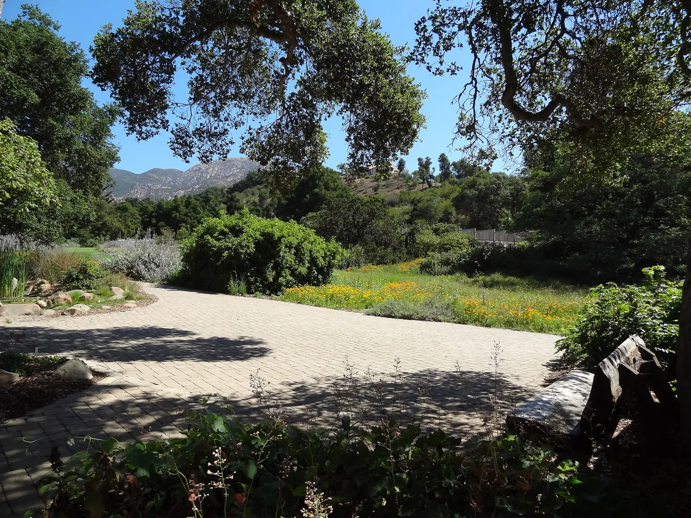 Under the Meadow Oaks, view from Blaskley Boulder to the west side of the Meadow