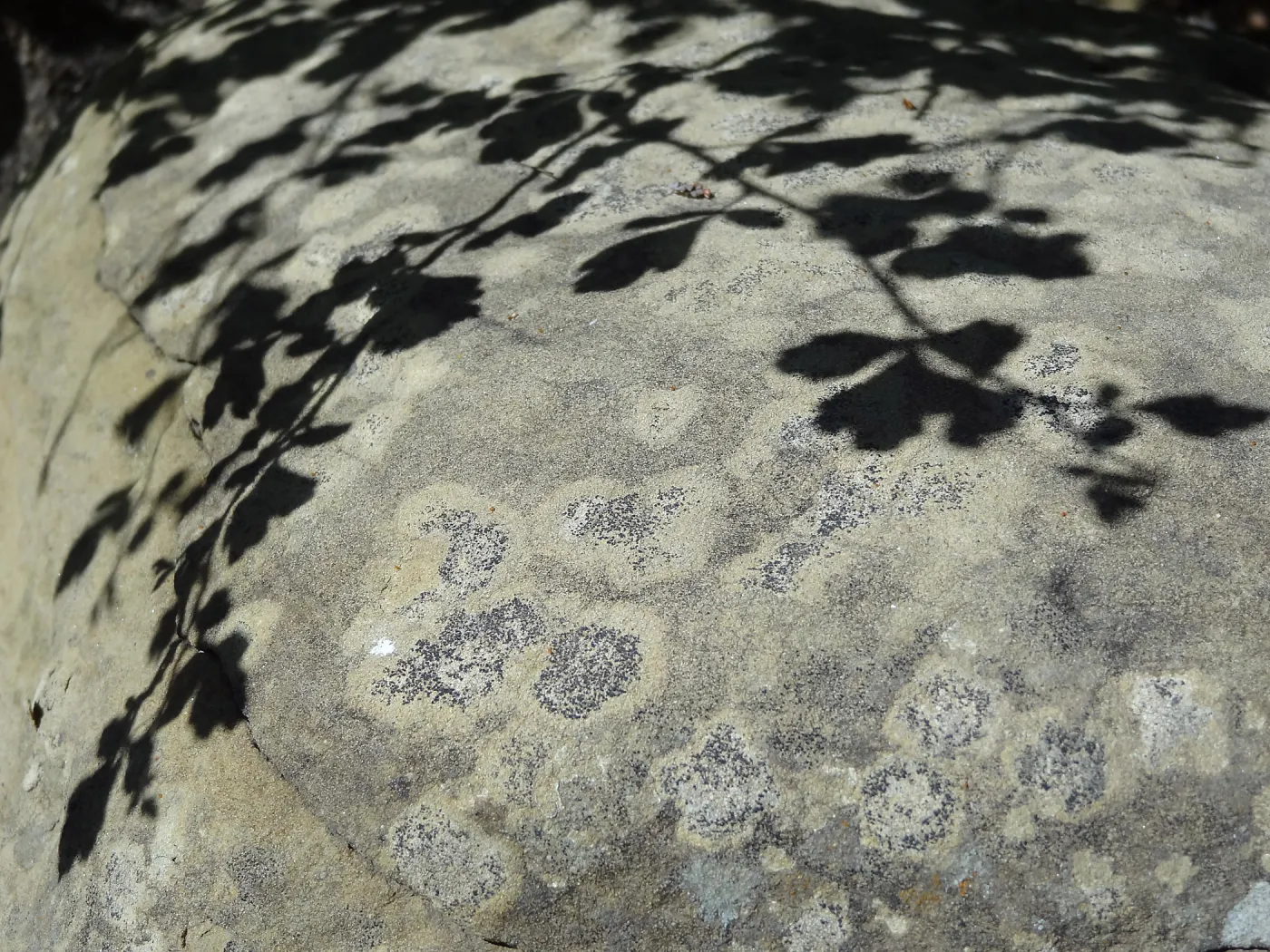 Shadow, Desert Section, sandstone boulder