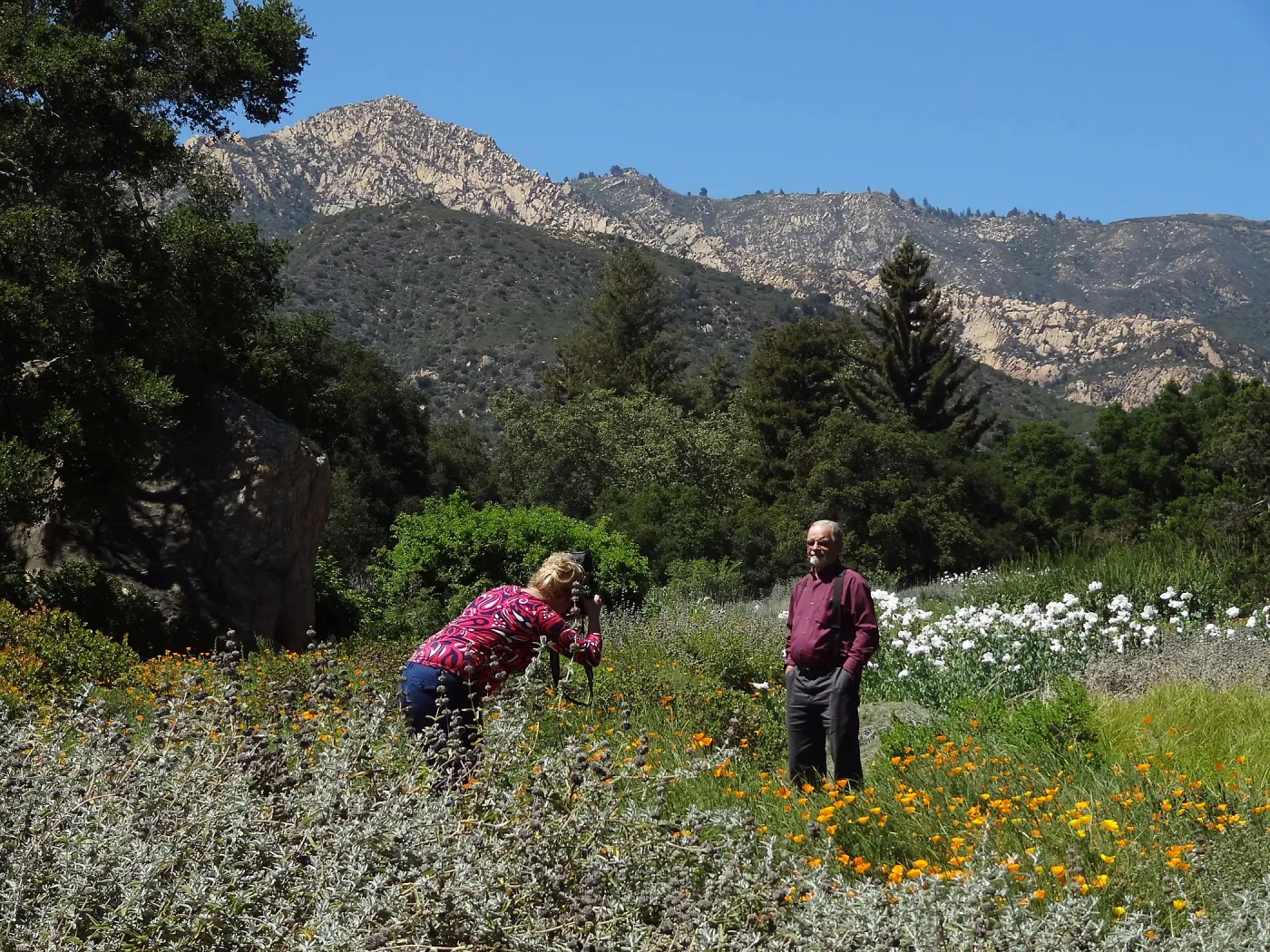 Photographer in the Meadow, Stacy Bloodworth, Dieter Wilken portrait session