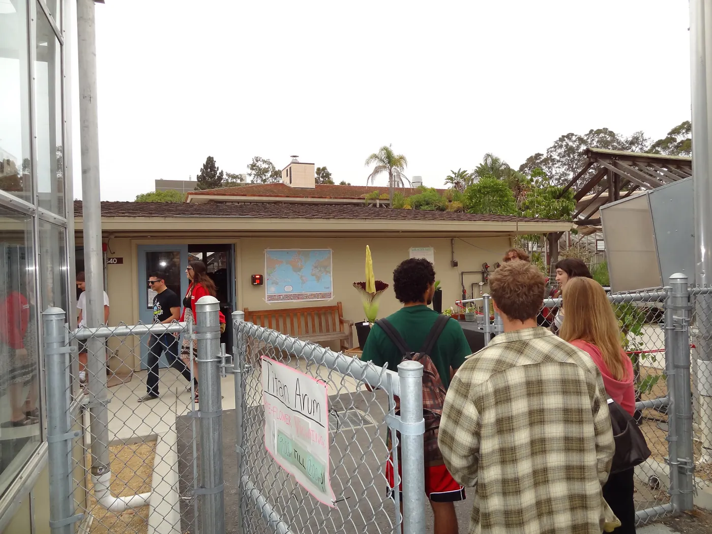 Titan arum, Corpse flower at UC Santa Barbara, SBBG staff field trip