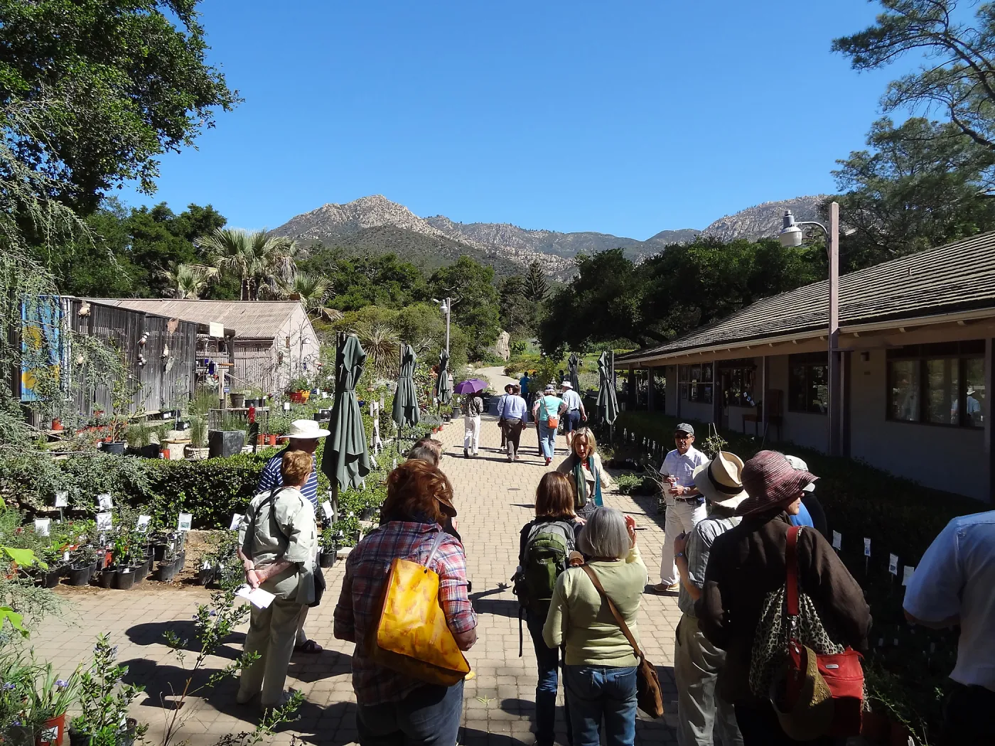 Special Garden Tour for a group of garden enthusiasts from England at the SBBG