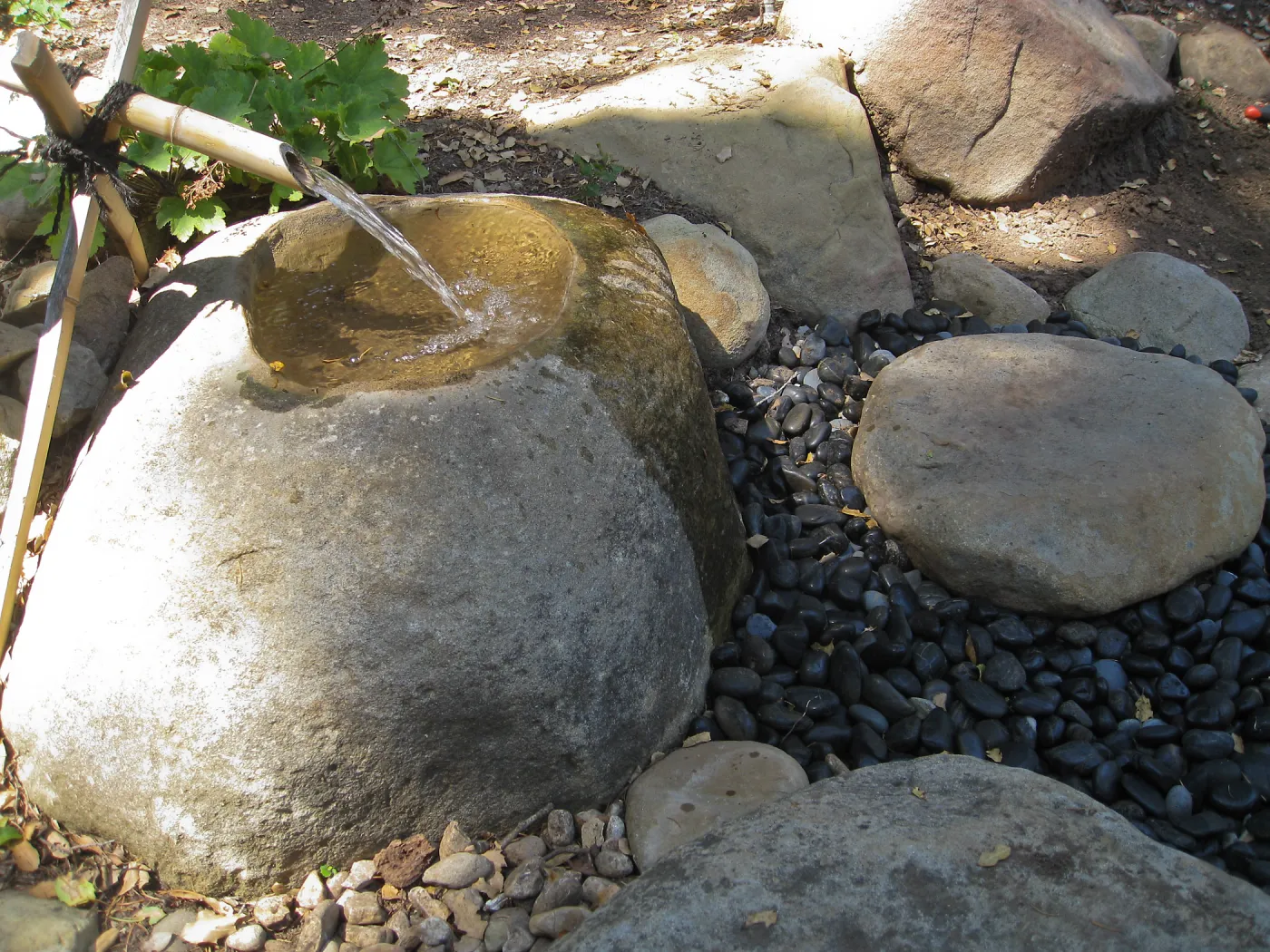 Tsukubai at the Teahouse