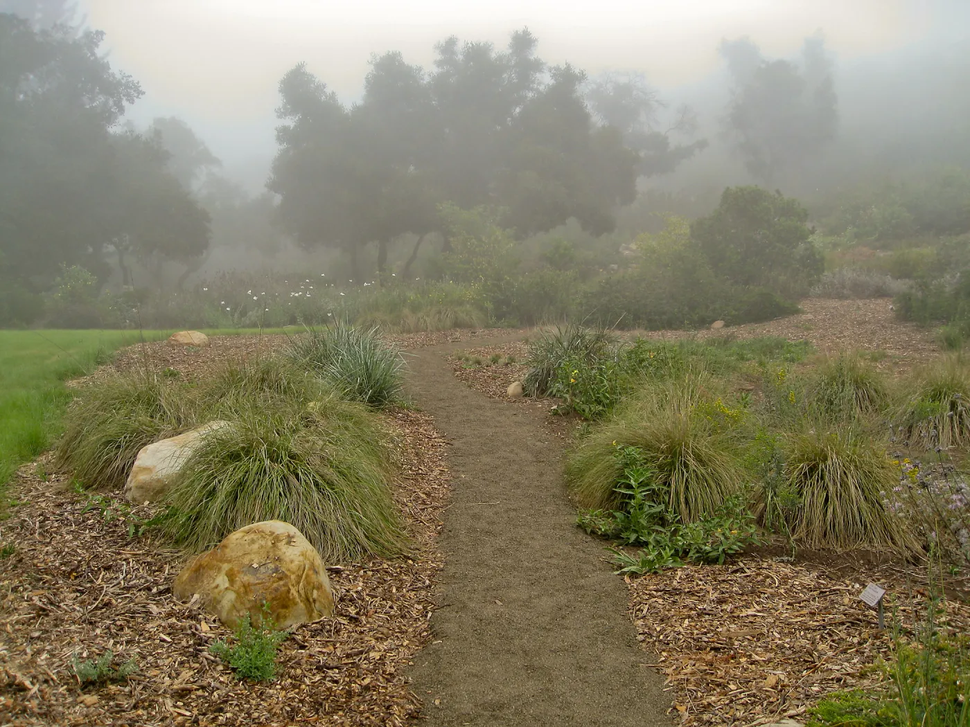 Pathway in upper Meadow