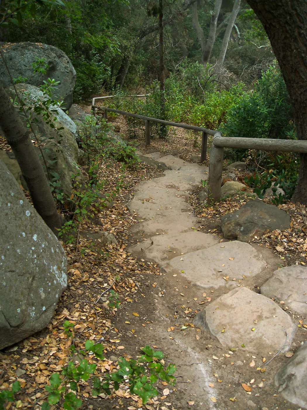 Stone steps from Manzanita Section down to Creek