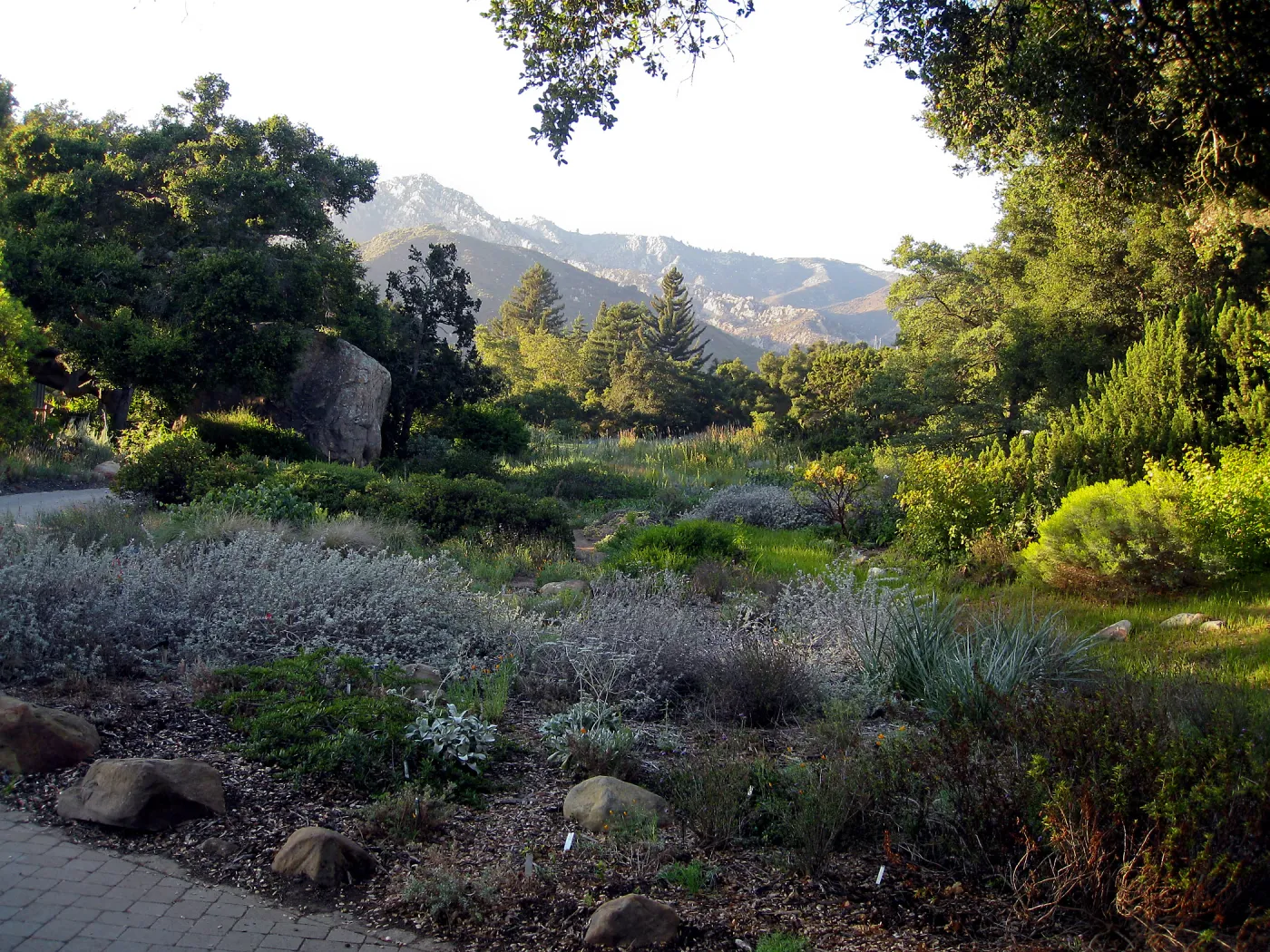 Ground Cover Display