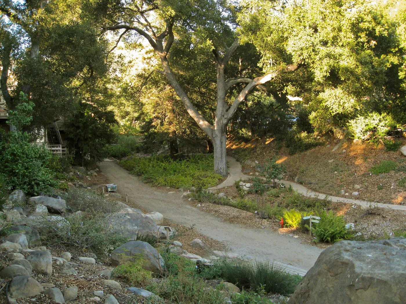 Arroyo Section