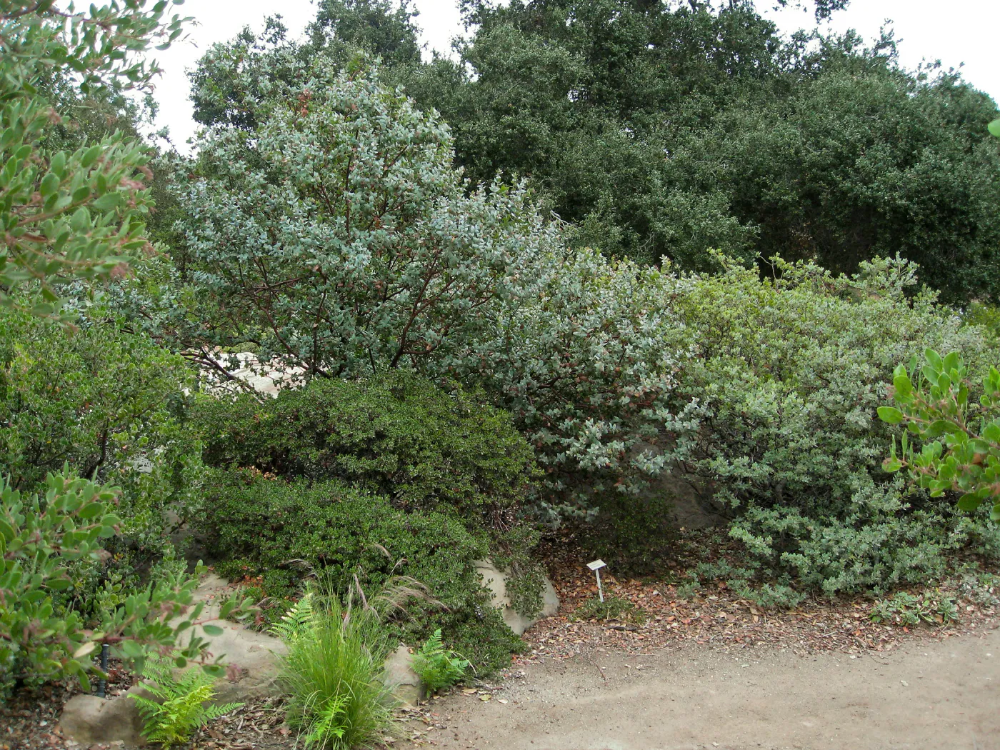 Home Demo Garden, SBGG