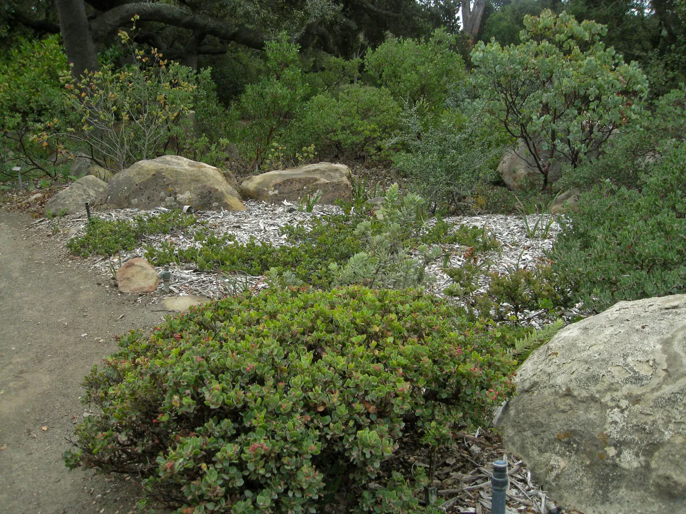 Home Demo Garden, SBGG