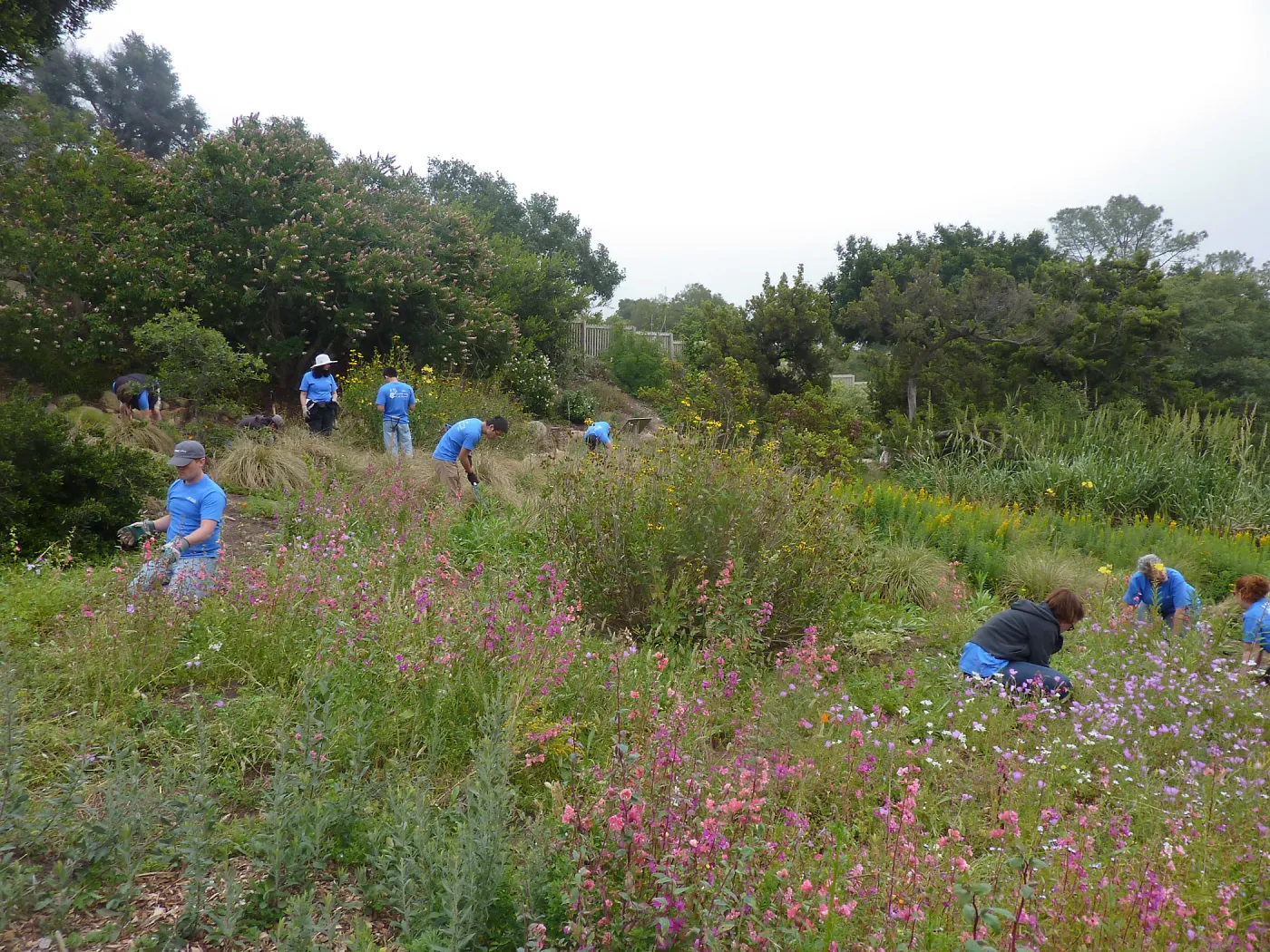 Volunteers from Citrix Corp