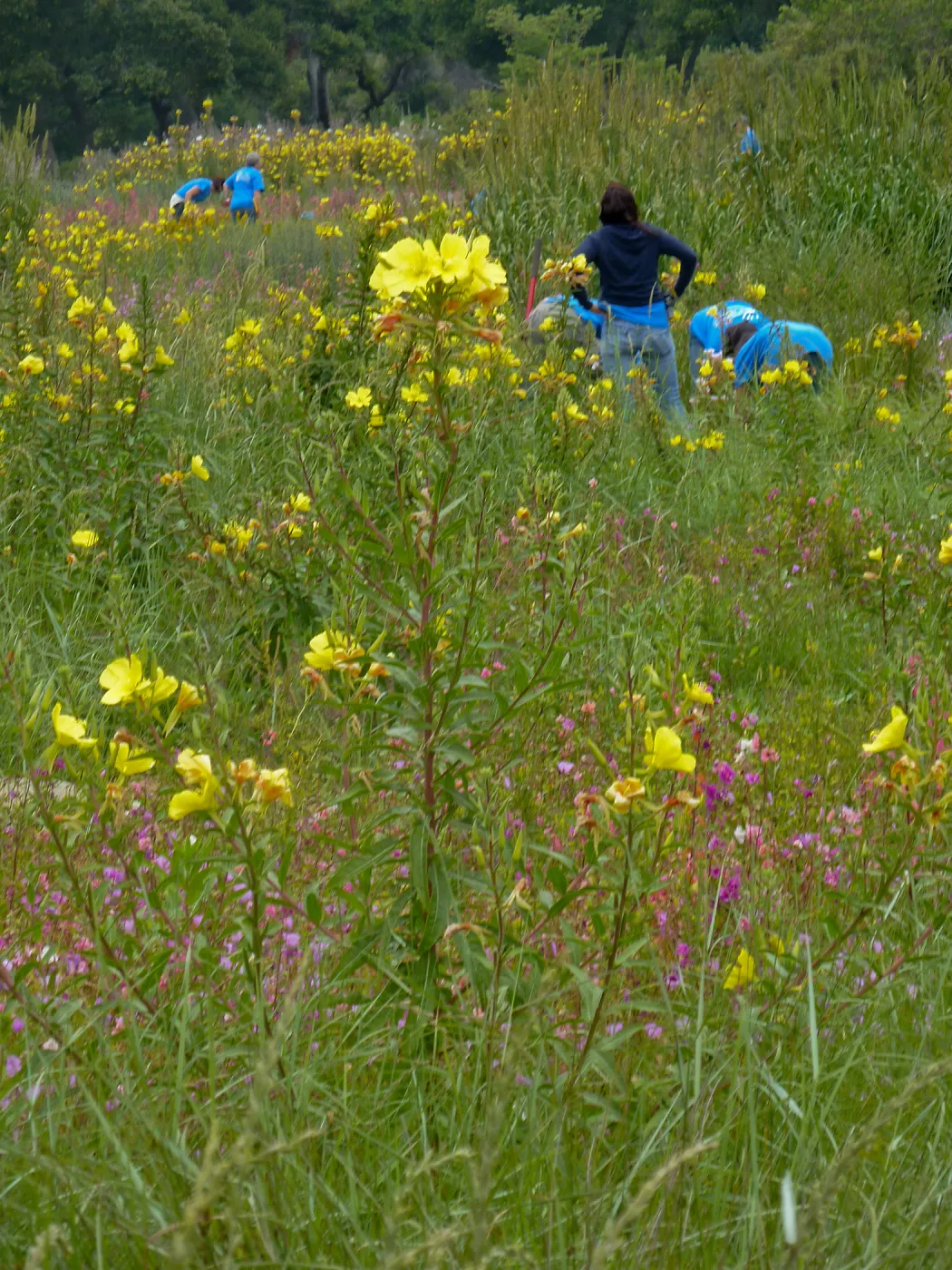 Volunteers from Citrix Corp