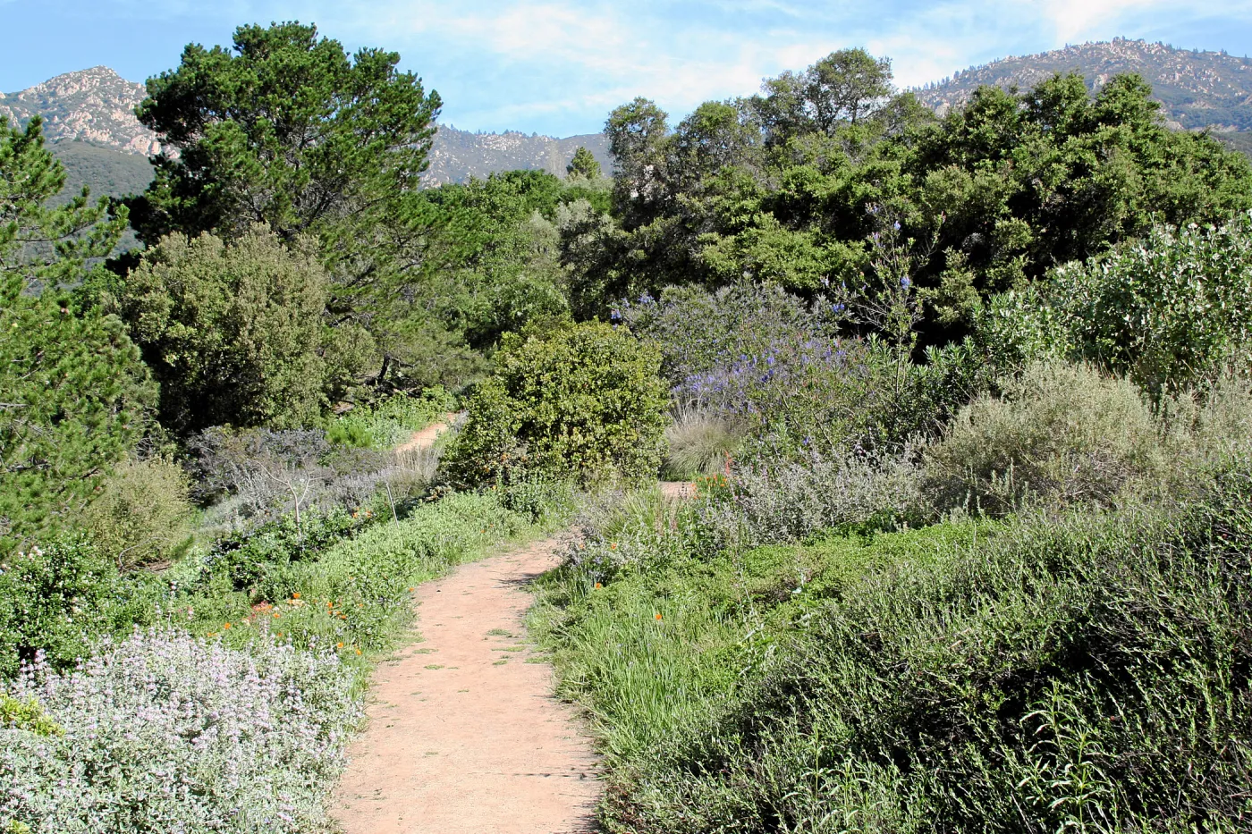 Porter Trail, West path north
