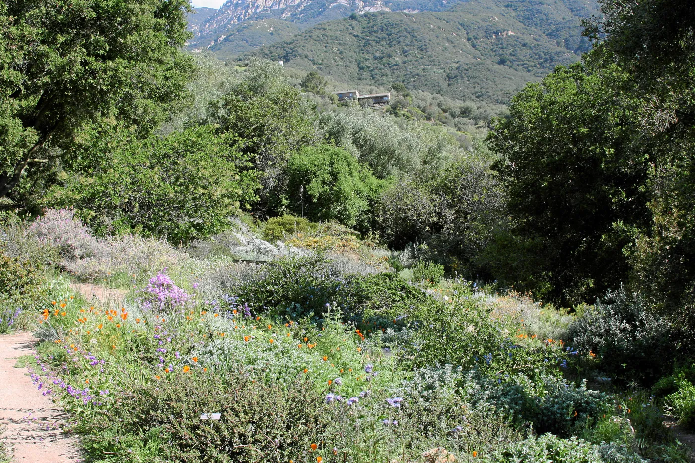 Porter Trail, East path, northeast