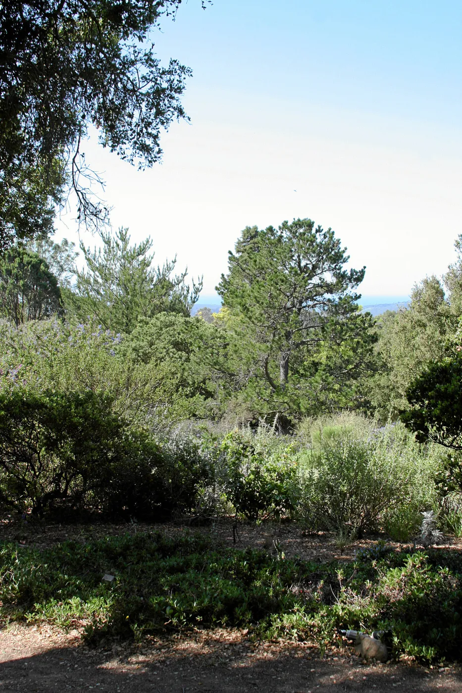 Porter Trail,East path, southwest