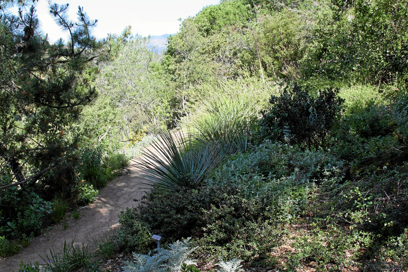 Porter Trail, North Switchback, North