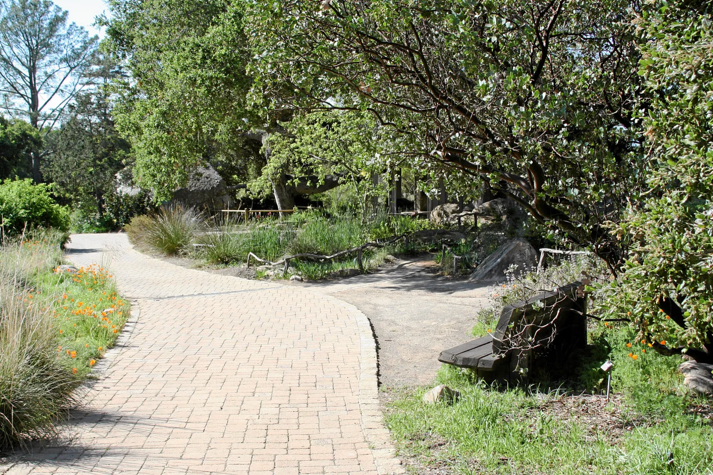 Meadow, main path south