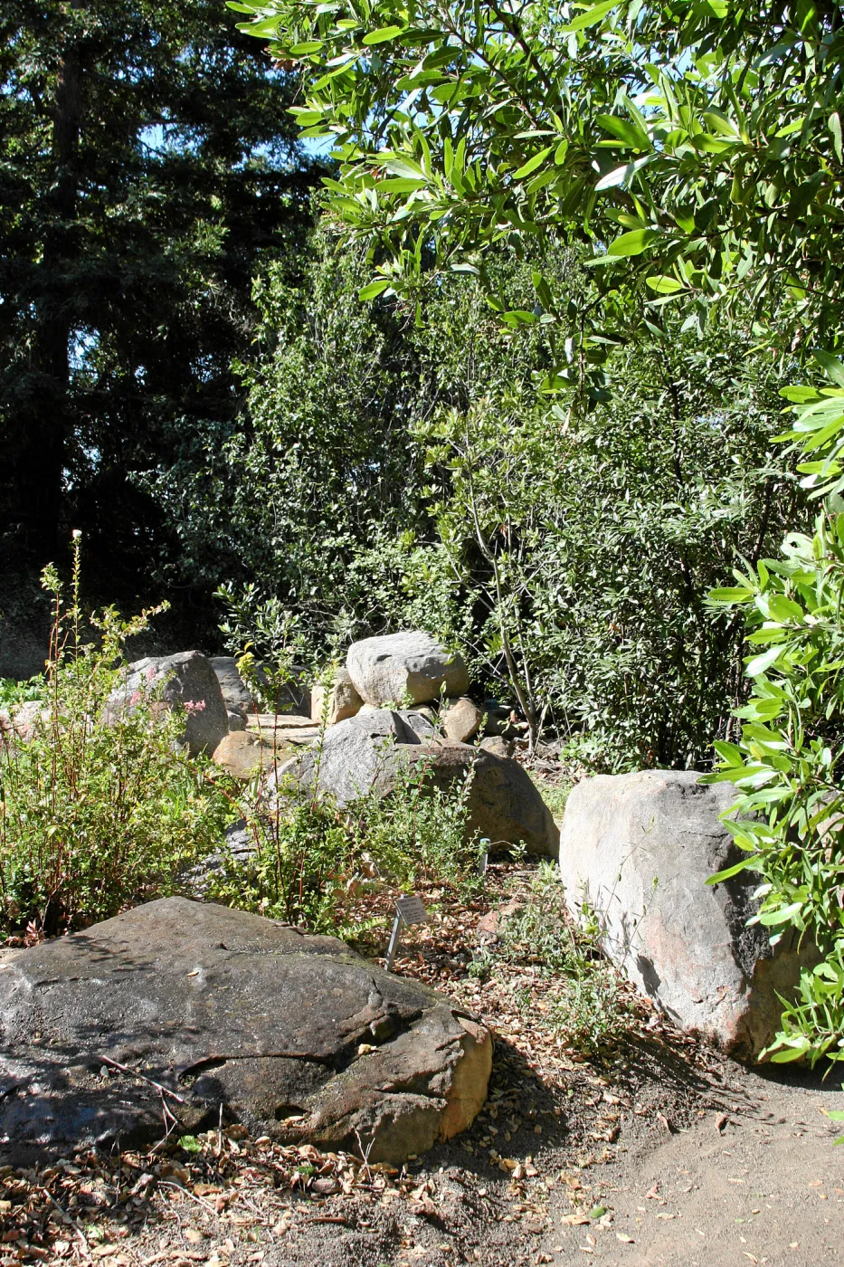 Brook, across dispaly southwest