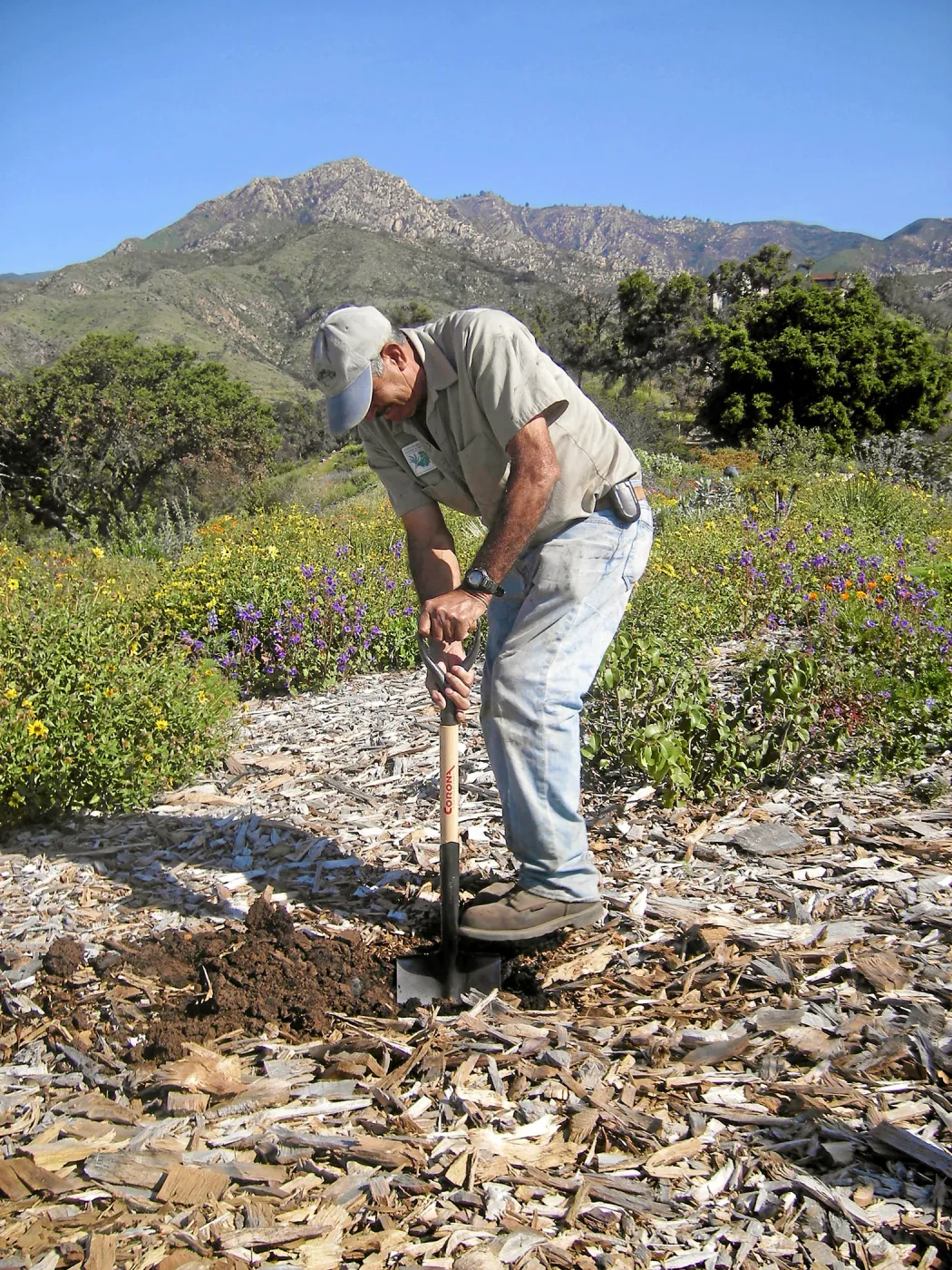 Porter Trail, Manuel at work