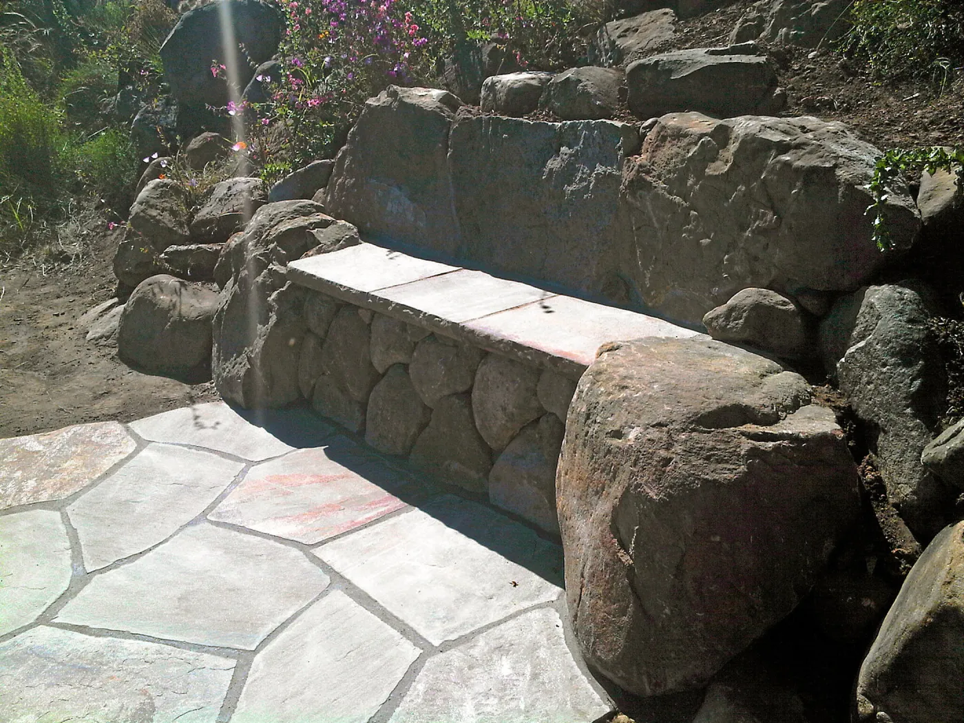 New Connor Bench in Ceanothus section (old Wheeler Bench site)