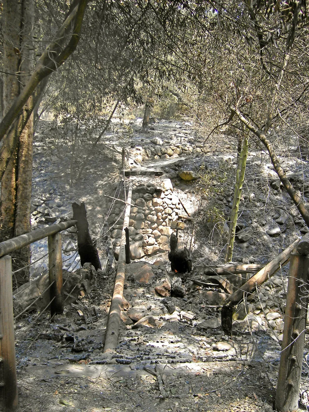 Jesusita Fire, destroyed Campbell Bridge