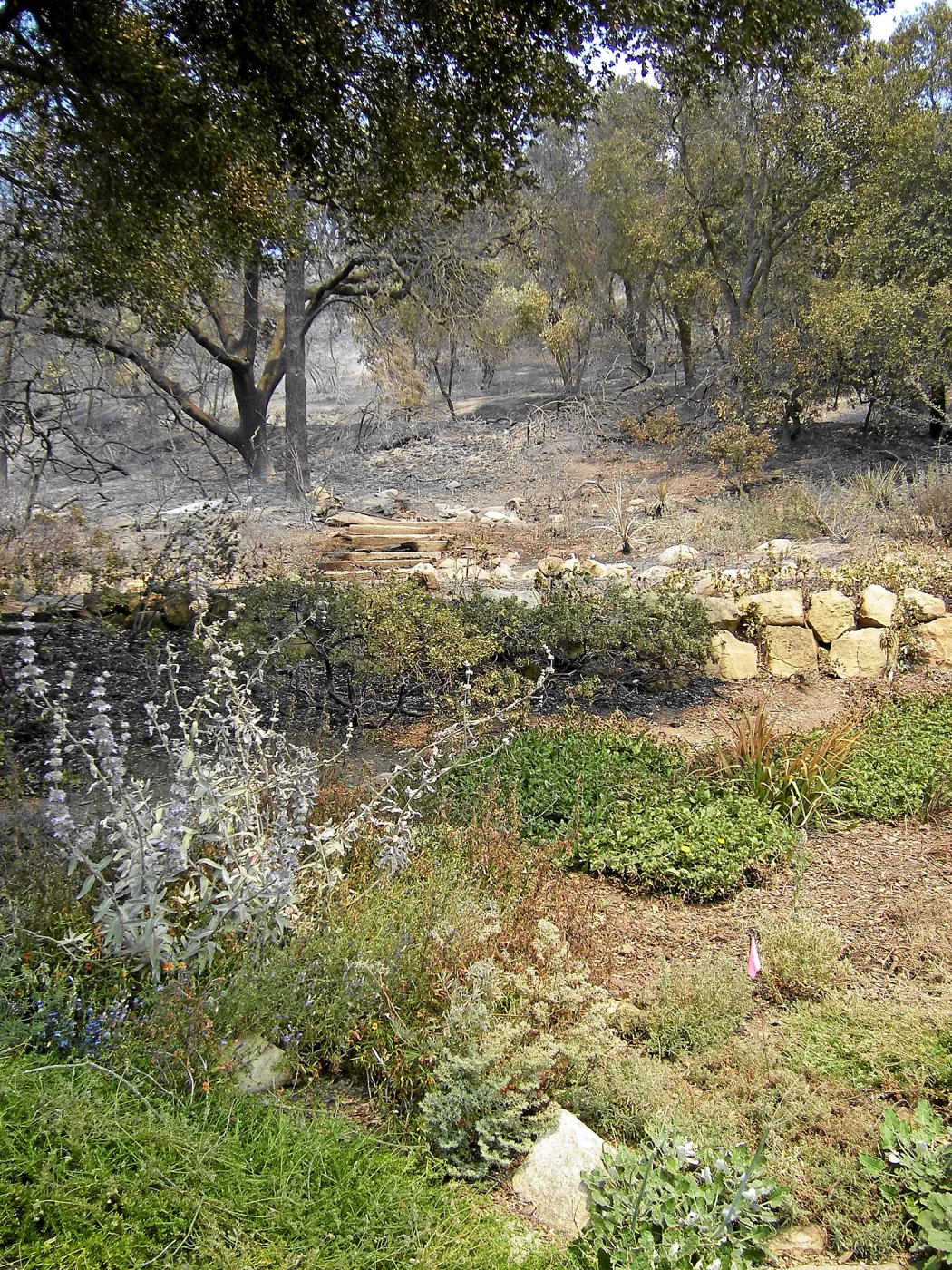 Jesusita Fire damage, Meadow View