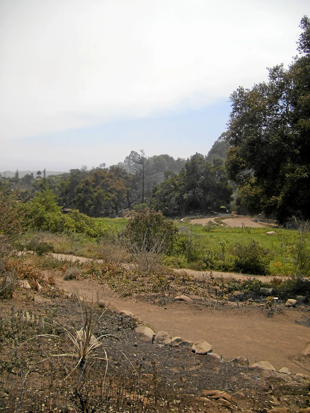 Jesusita Fire damage, Meadow View