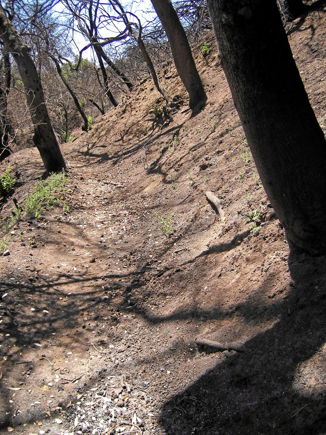 Erosion on the Pritchett Trail post Jesusita Fire