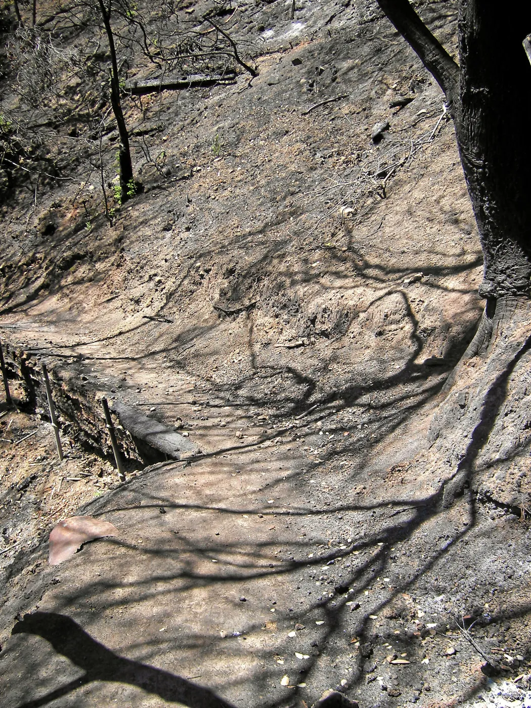Erosion on the Pritchett Trail post Jesusita Fire