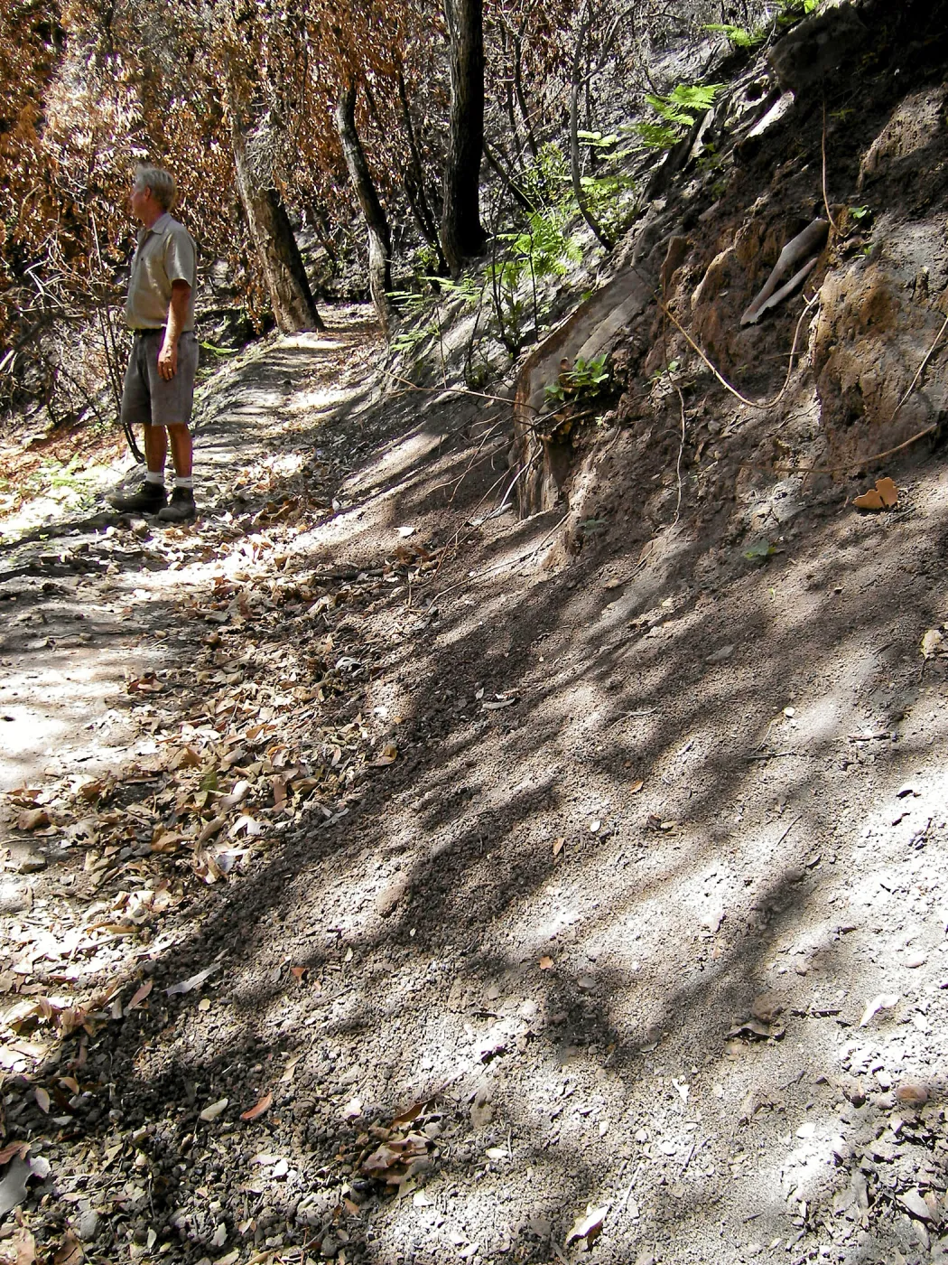 Erosion on the Pritchett Trail post Jesusita Fire
