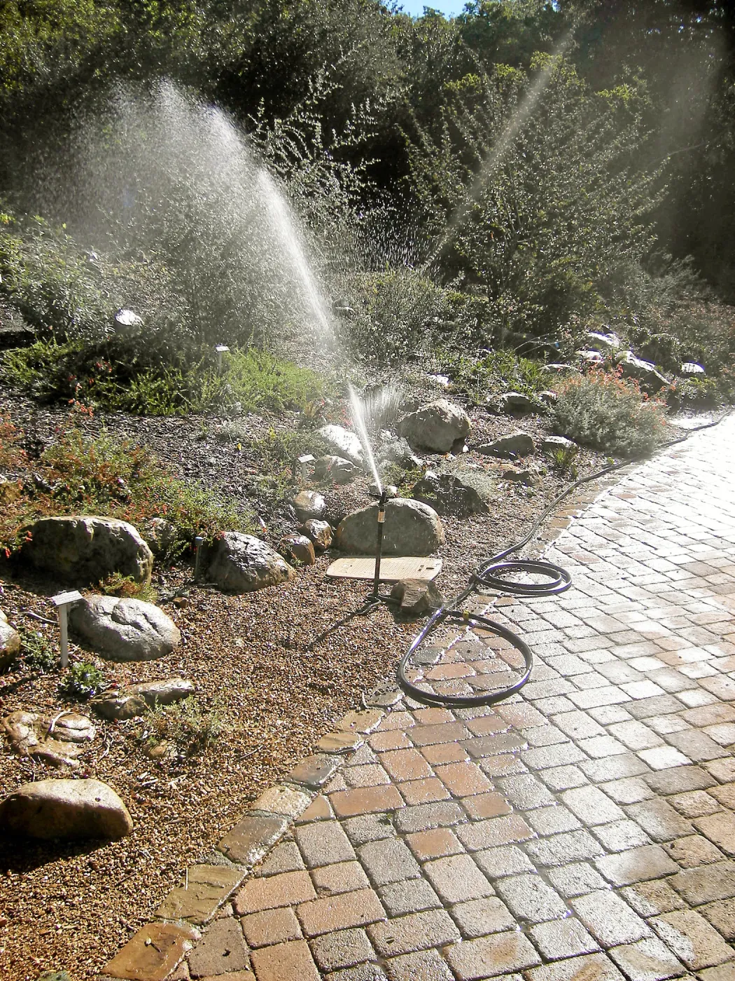 Irrigation press pictures