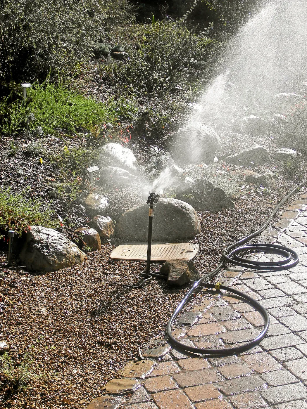 Irrigation press pictures