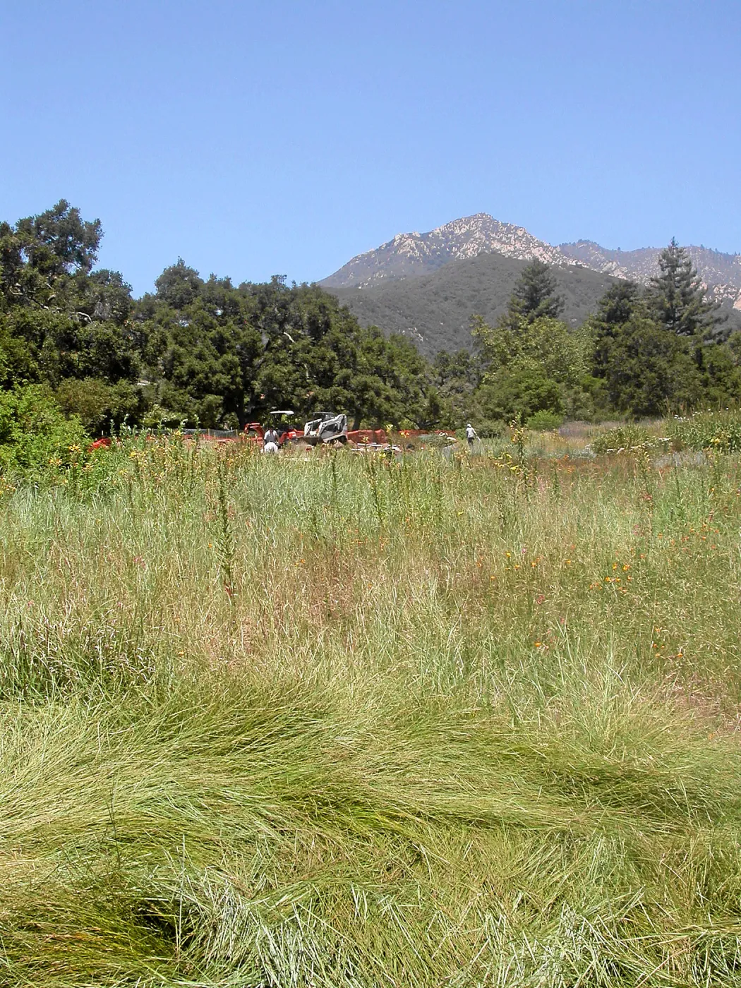 Irrigation installation, Meadow Lawn 2008