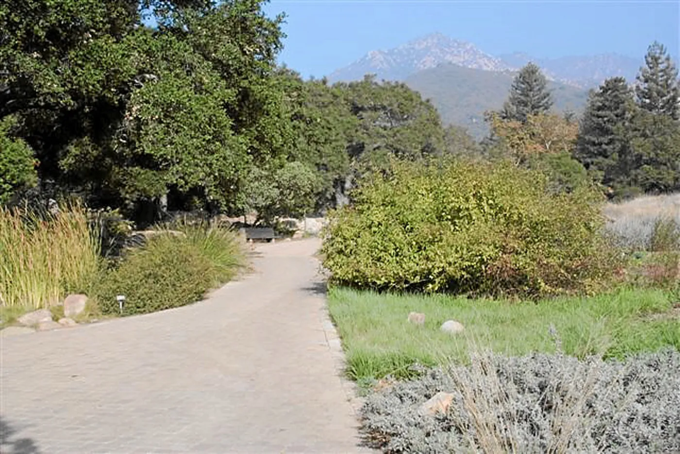 Meadow Terrace, North, next to Blaksley Boulder