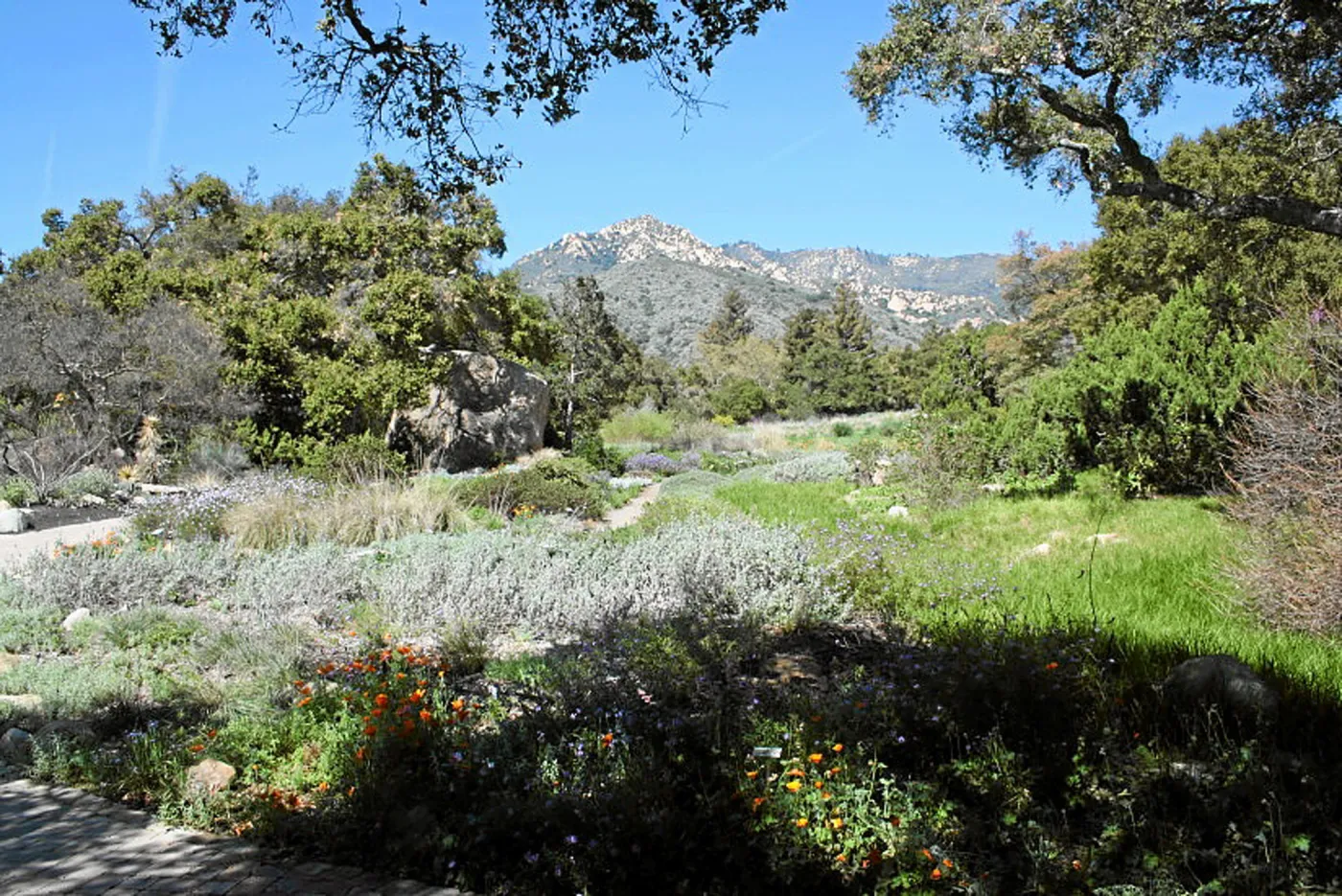 Meadow Terrace, North