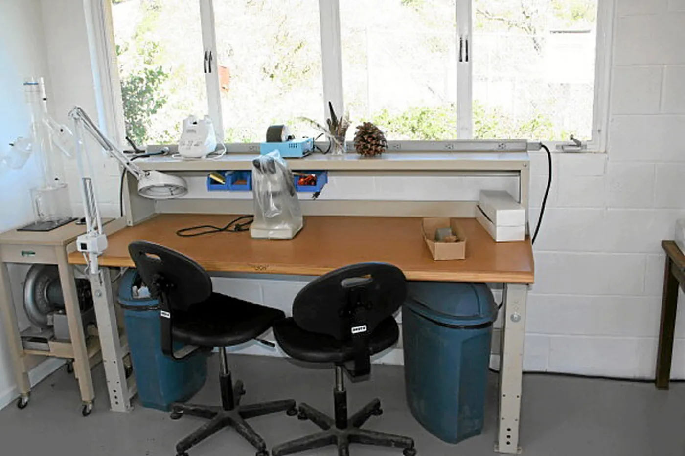 Seed Lab