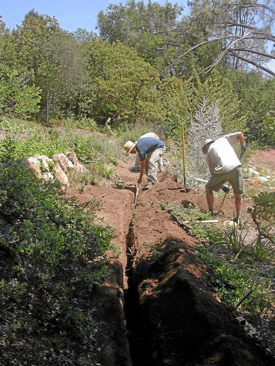 Meadow View Irrigation installation