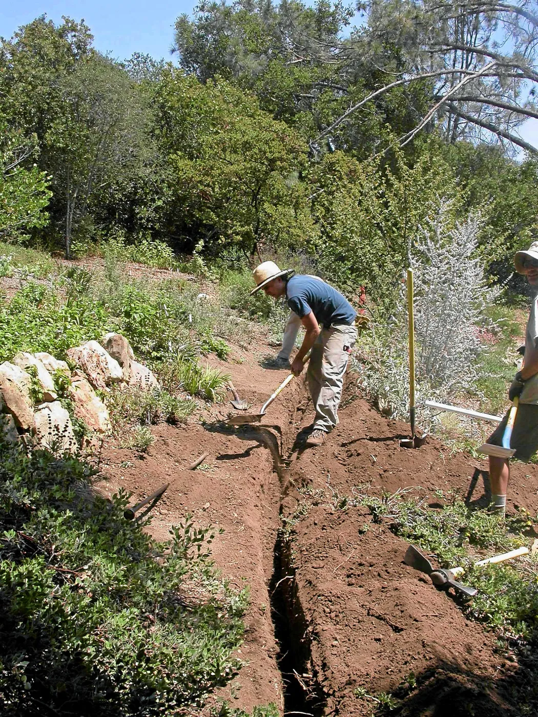 Meadow View Irrigation installation