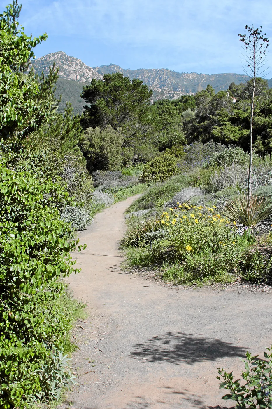Paved trails on the Porter Trail
