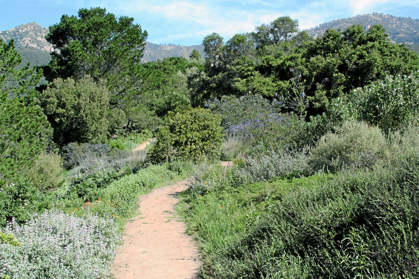 Paved trails on the Porter Trail