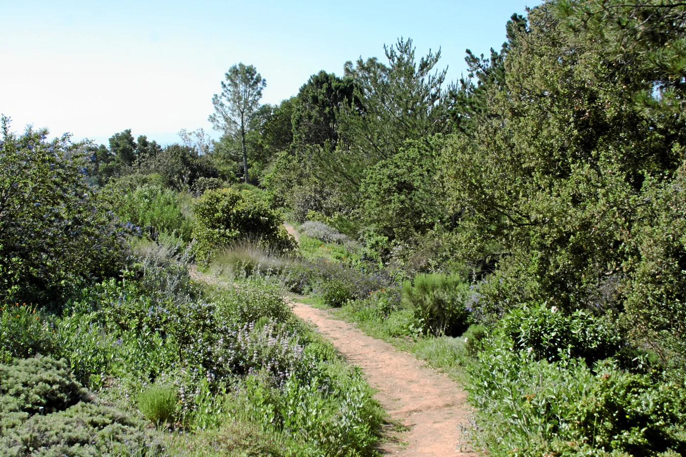 Paved trails on the Porter Trail