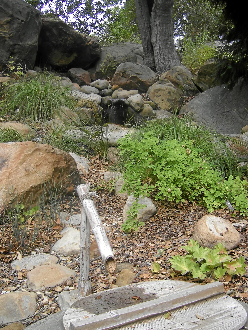 View over tsukubai at Teahouse