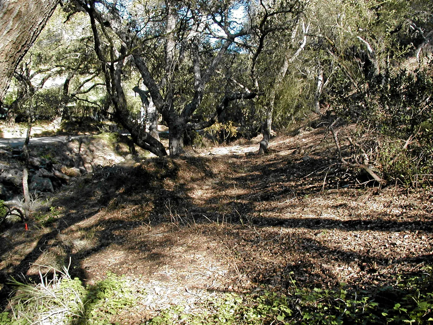 Toro canyon, winter