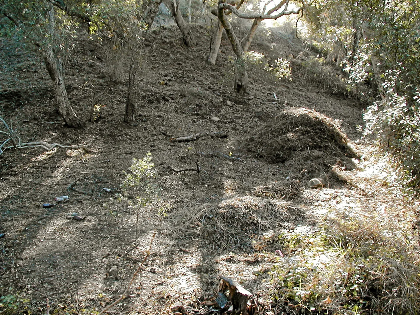 Toro canyon, winter