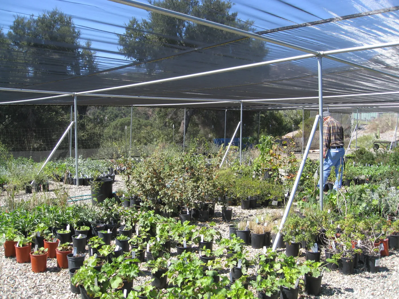 New shade cloth at lower canyard