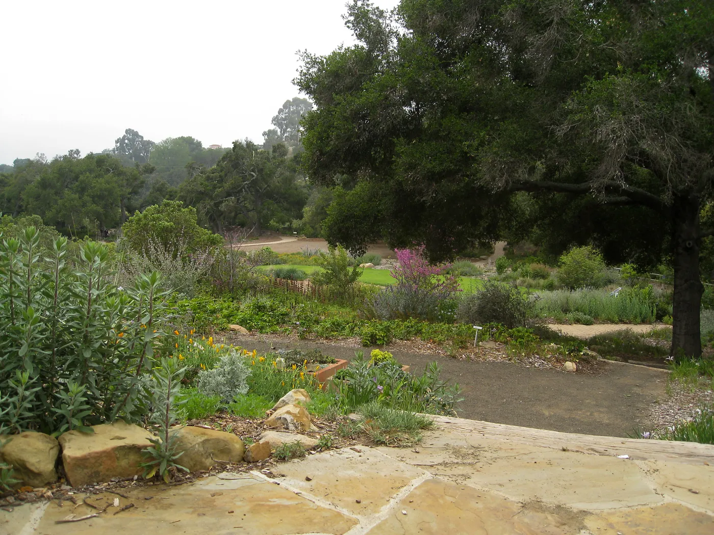 Meadow View bench looking across to the Meadow