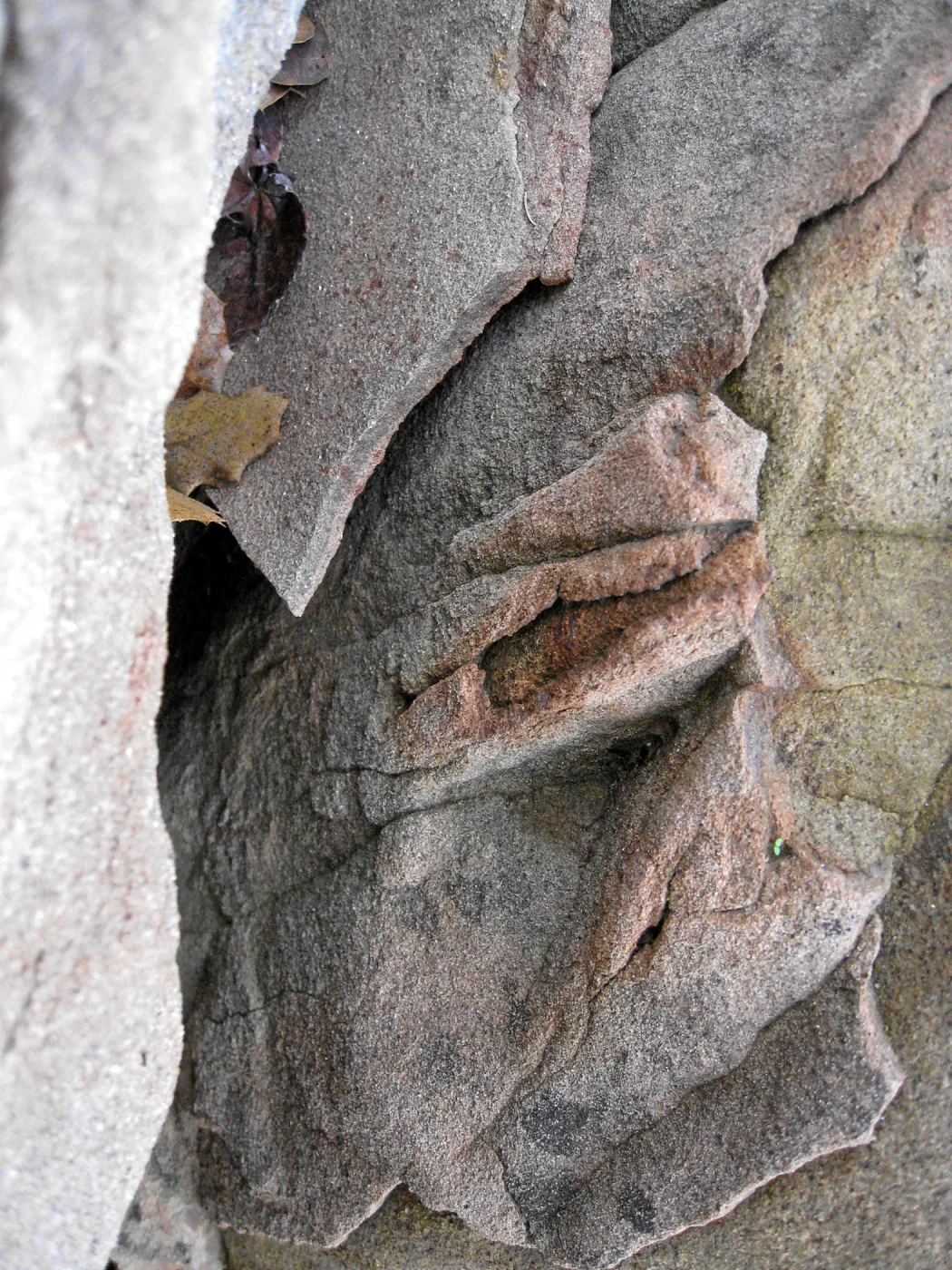 Sandstone boulders in the Desert Section