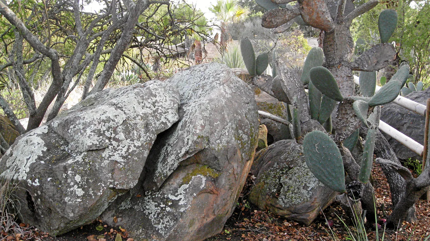 Sandstone boulders in the Desert Section
